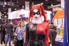 IMG_9656