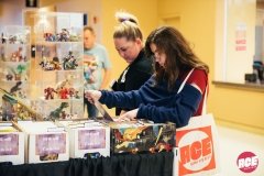 ACEAZ2019-853