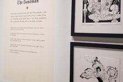 Colleen Doran Sandman art