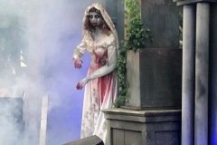 IMG_0781