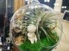 Terrarium by Camille