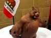 California Fighting Bear