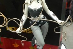 Wonder Woman by Tara McPherson at KidRobot