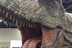 Huge Jurassic Park display
