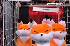 Foxes