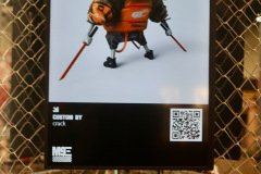 931A6231