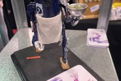 IMG_5237