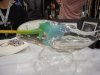 Magic Narwhal