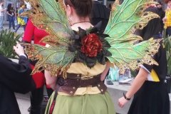 Fairy Wings