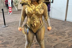 IMG_6980-copy