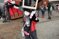 IMG_6988-copy