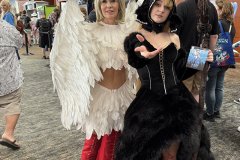 IMG_7026-copy