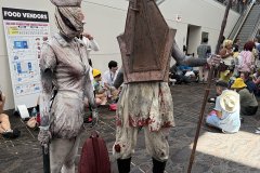 IMG_7032-copy