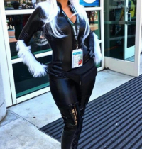 Black Cat