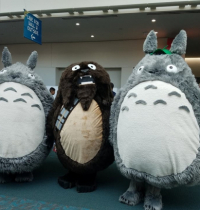 My Neighbor Totoro and Chewbacca