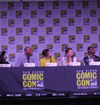 Supergirl Panel