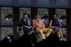 Wonder Woman 1984 Panel