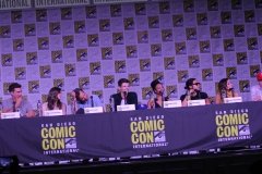 Flash Panel