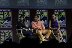 Wonder Woman 1984 panel