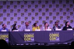 Supergirl Panel