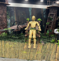 C-3PO