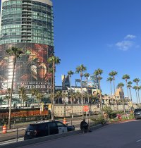 IMG_5929