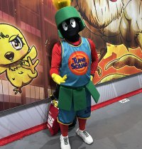 IMG_6049