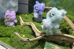 IMG_6028