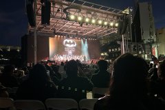 IMG_6154-copy