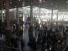 The Crowd