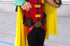Robin