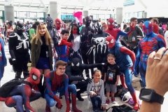 Spider Gathering