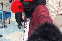 Anthro