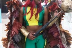 Hawkgirl