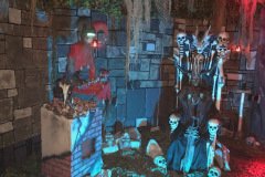 IMG_7171