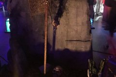 IMG_7173