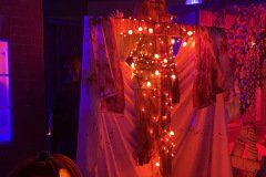 IMG_5461