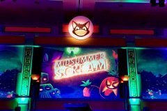 IMG_0126