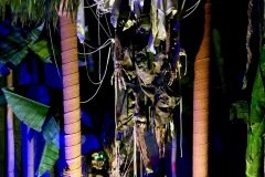 IMG_0135