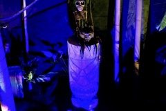 IMG_0136