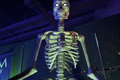 IMG_7707