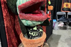 IMG_7729