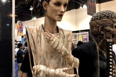 IMG_8830