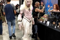 IMG_8834