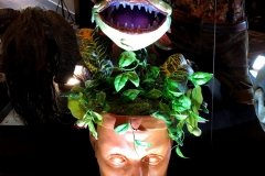 IMG_8873