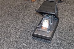Porg