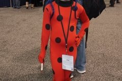 Miraculous Ladybug