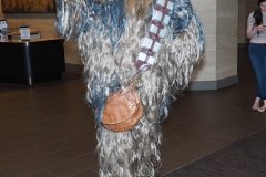 Chewbacca