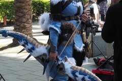 Archer