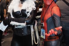 Black Cat and Spider-Man